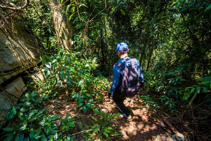 Lộ trình trekking Hang Tiên sẽ bắt đầu bằng việc leo theo đường mòn lên đỉnh đồi và đi xuống những cánh rừng