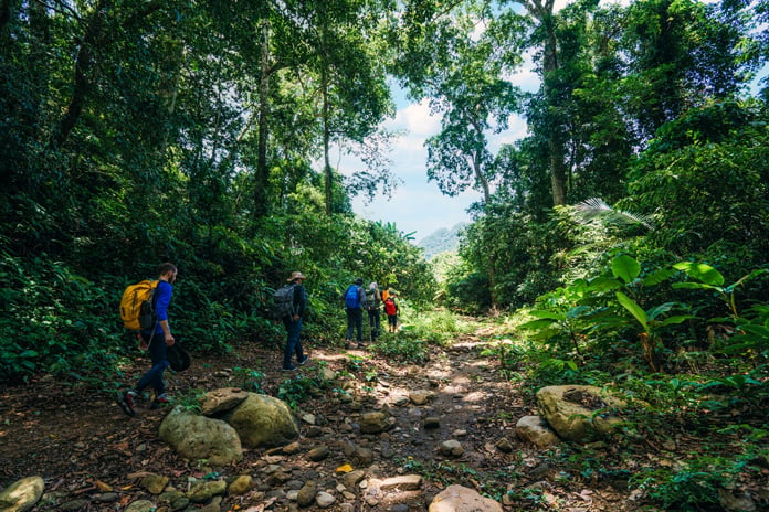 Trải nghiệm leo núi, băng qua những khu rừng nhiệt đới trong VQG Phong Nha - Kẻ Bàng